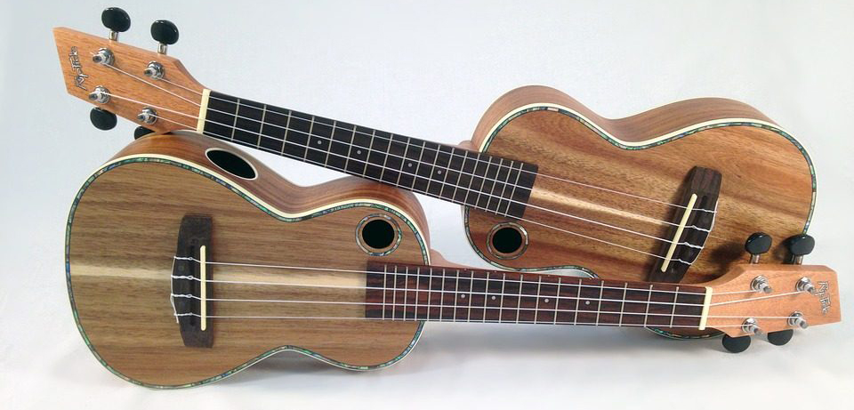 Phân biệt đàn ukulele Soprano, Concert, Tenor và Baritone