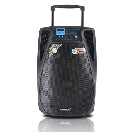 Loa Temeisheng SL1502