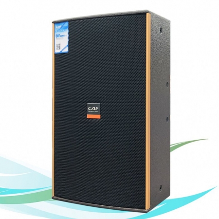 Loa karaoke CAF HN-10