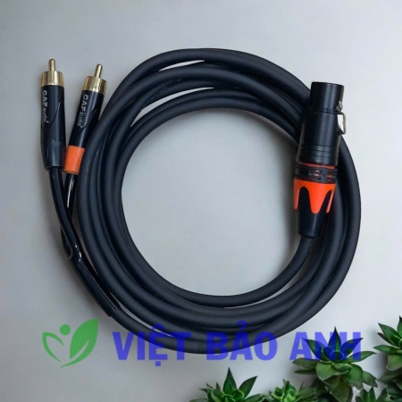 Jack CA sang AV 3m 1CA2AV