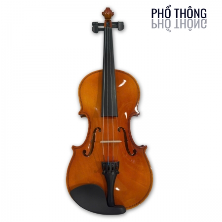 Violin Phổ thông PT01 size 4/4 