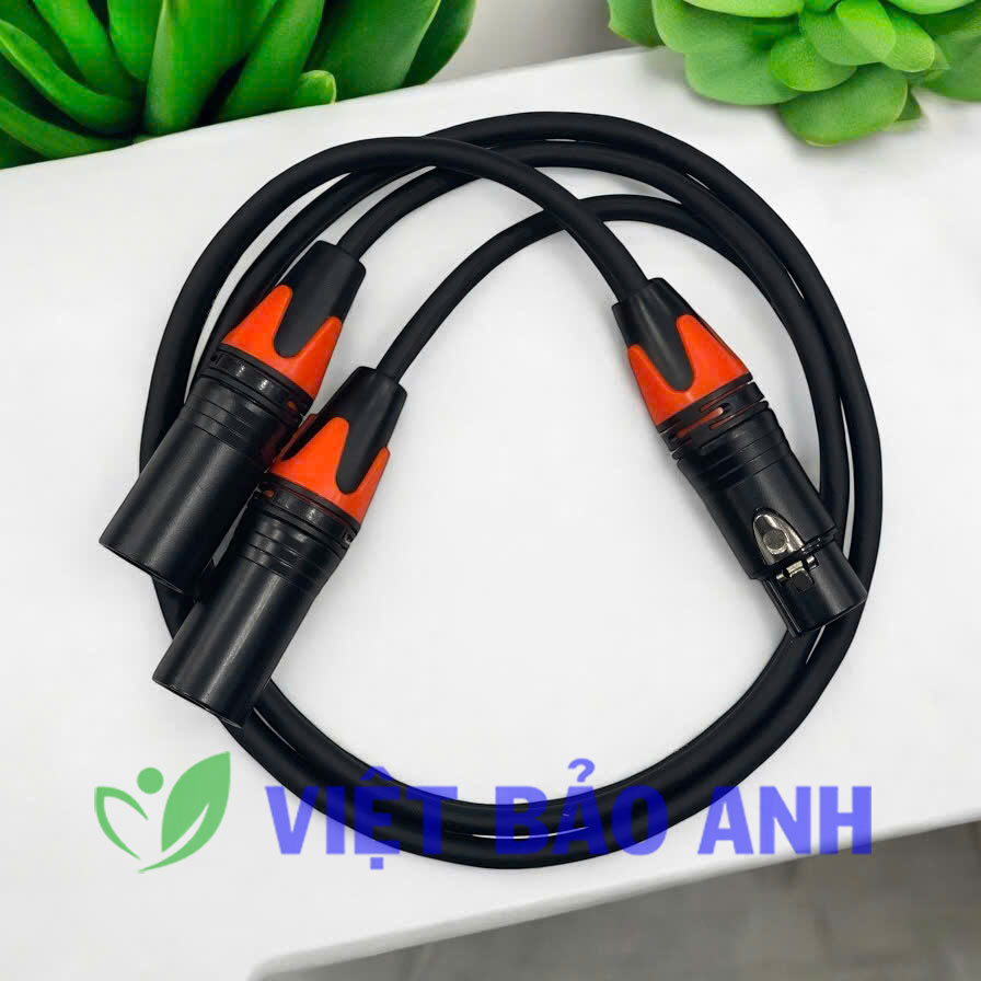 Jack CA sang CA 1m 1CA2CA