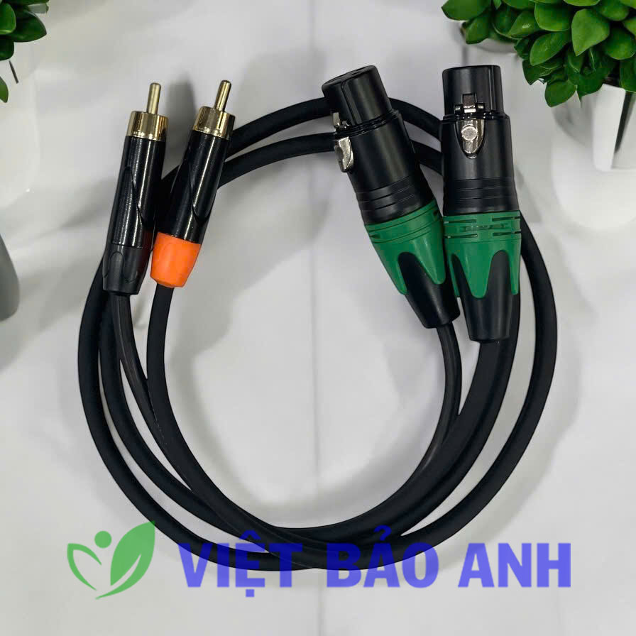 Jack CA sang AV 1m 2CA2AV